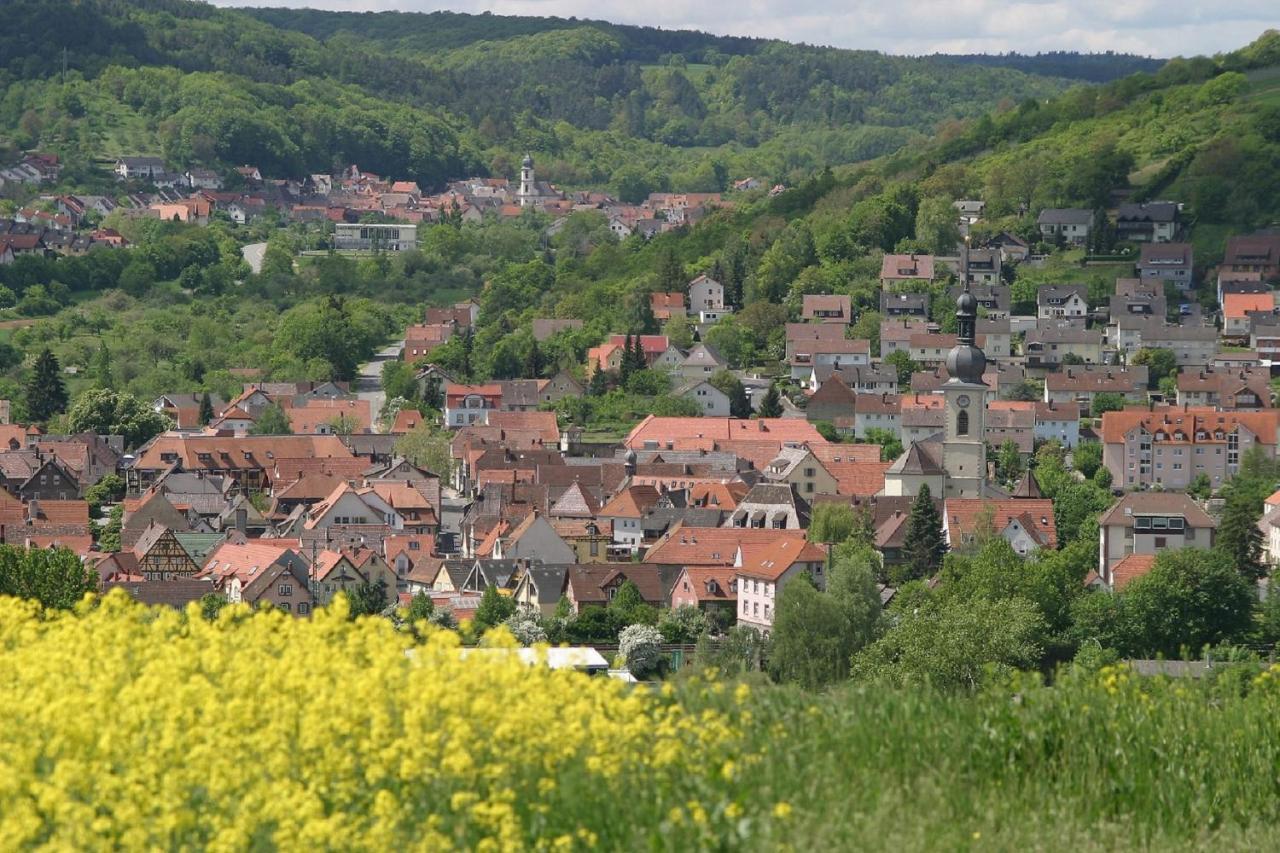 Ferienwohnung Haas Lauda-Königshofen Exterior foto